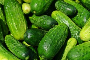 Freezer Pickles - Cucumbers