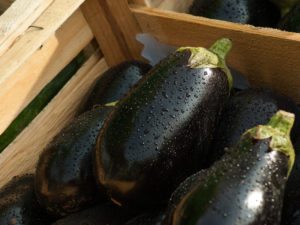 Baba Ghanouj Eggplant Dip